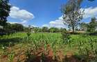 Residential Land in Runda - 10