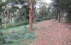 4 ac Land at Mushroom Gardens - 7