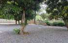 Commercial Property in Lavington - 8