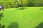 3 Bed Townhouse with En Suite at Kiambu Road - 4