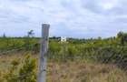 1 ac Land in Nanyuki - 3