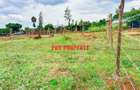 0.05 ha Residential Land at Thigio - 8