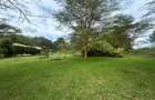25 ac Land in Naivasha - 1