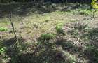 0.25 ac Residential Land in Ngong - 6