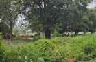 Land in Karen - 1