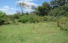 25 ac Land at Moi S Lake Rd - 12