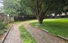 Commercial Property with Backup Generator in Lavington - 9