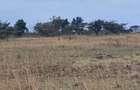 15 ac Land at Thika Road - 2