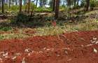 Residential Land at Ruiru-Githunguri - 3