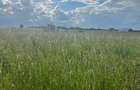 Land at Sunshine - 3