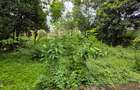 Commercial Land in Lavington - 7