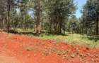 500 m² Land at Ruiru-Githunguri Road - 10