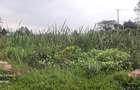Land in Runda - 7