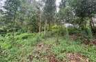 0.42 ac Residential Land at Kirawa Road - 5