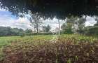 0.5 ac Land in Runda - 1