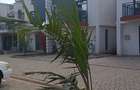 4 Bed Townhouse in Kikuyu Town - 2