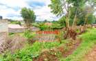 0.1 ha Commercial Land at Zambezi - 3
