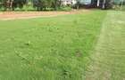 Residential Land at Migaa - 1