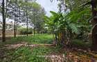 0.5 ac Land in Kitisuru - 2
