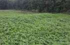 0.1 ha Residential Land in Ngong - 5