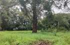 200 ac Land at Kilimani - 7