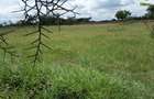 500 m² Residential Land in Ongata Rongai - 6