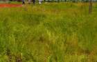 Land at Riverline Ridges - 6