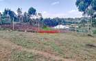 0.25 ac Residential Land at Kamangu - 6