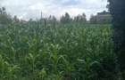 Residential Land in Kiserian - 5