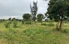 3.8 ac Land in Vipingo - 11