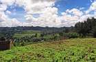 0.669 ac Land in Kikuyu Town - 4