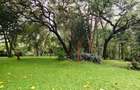5 Bed House with En Suite in Kitisuru - 13