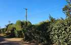 506 m² Land at Kibiko Centre Near Tarmac - 2