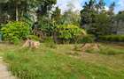 1 ac Residential Land in Riverside - 4