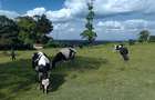 Land at Kiambu Road - 1