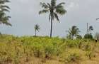 Land in Kilifi - 10