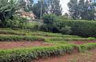 0.25 ac Residential Land at Kerarapon Drive - 4