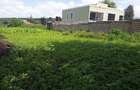 0.125 ac Residential Land in Ongata Rongai - 9