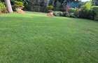 5 Bed House with En Suite in Karen - 2