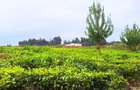 20 ac Residential Land at Riara Ridge - 5