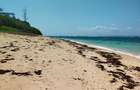 Land in Vipingo - 1