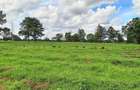 Residential Land at Juja-Gatundu Road - 6