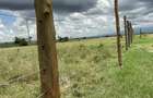 0.25 ac Residential Land at Rumuruti Road - 3