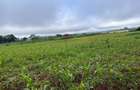 3.7 ac Land at Kiambu - 6