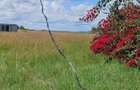 Land at Kisaju Kajiado - 6