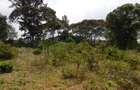 9 ac Land in Karen - 2