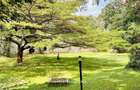 4 Bed House with Garden in Muthaiga - 6