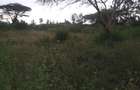 0.5 ac Land in Ongata Rongai - 9