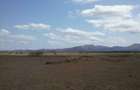 100 ac Land at Olepolos - 6
