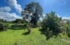 Residential Land in Mtwapa - 3